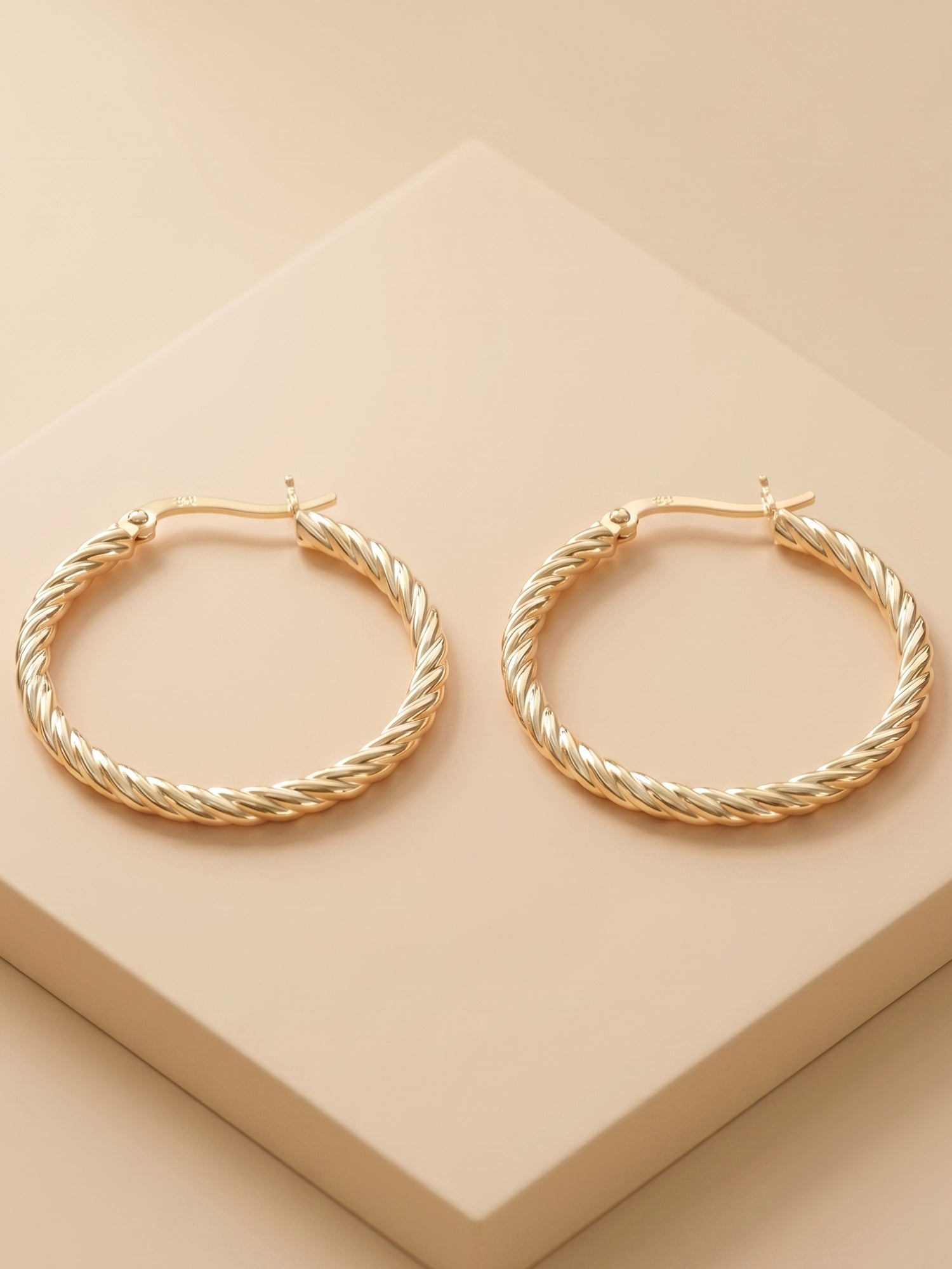 Gilded Rope Twist Hoops
