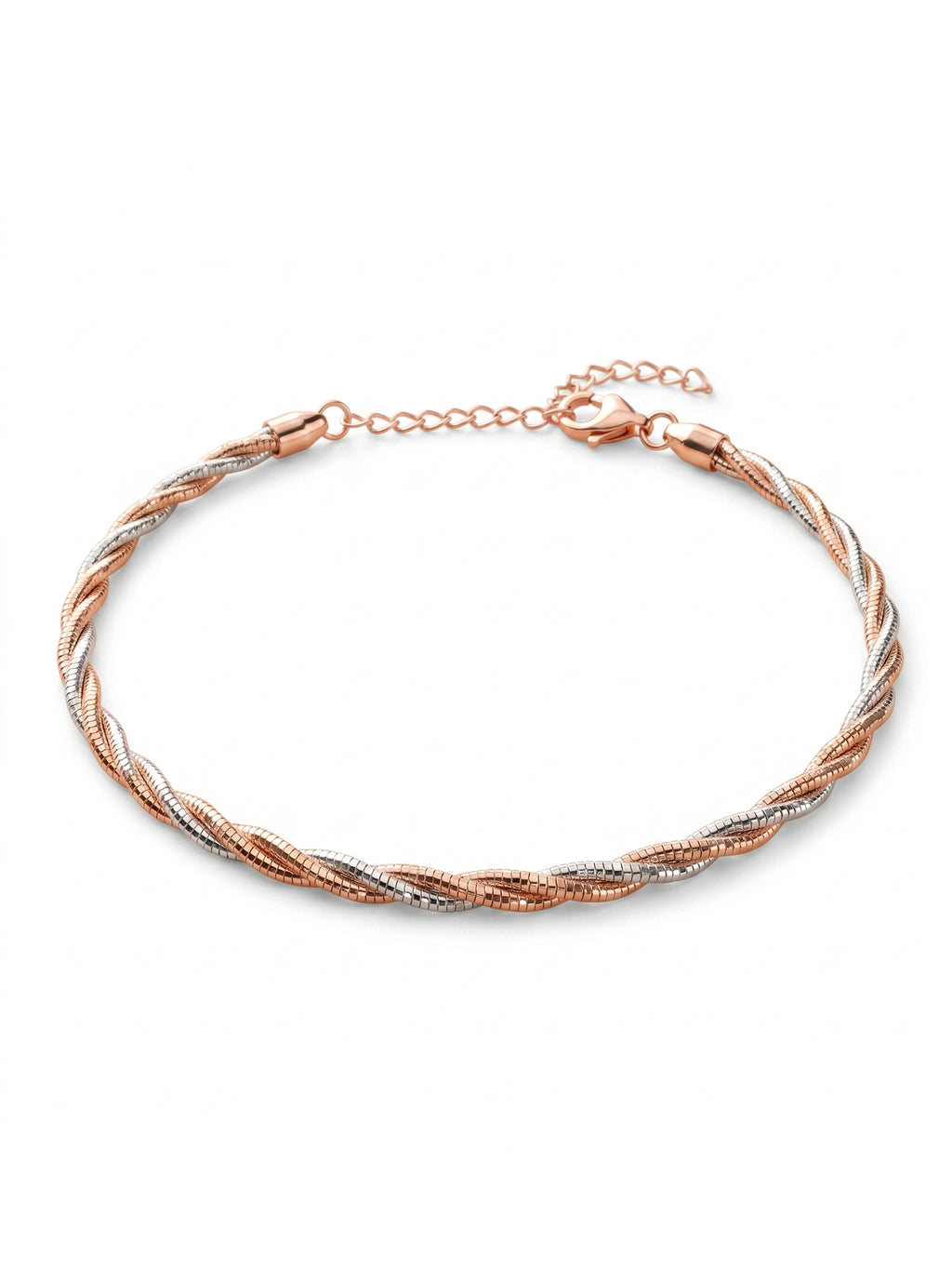 Two-Tone Twisted Snake Chain Anklet