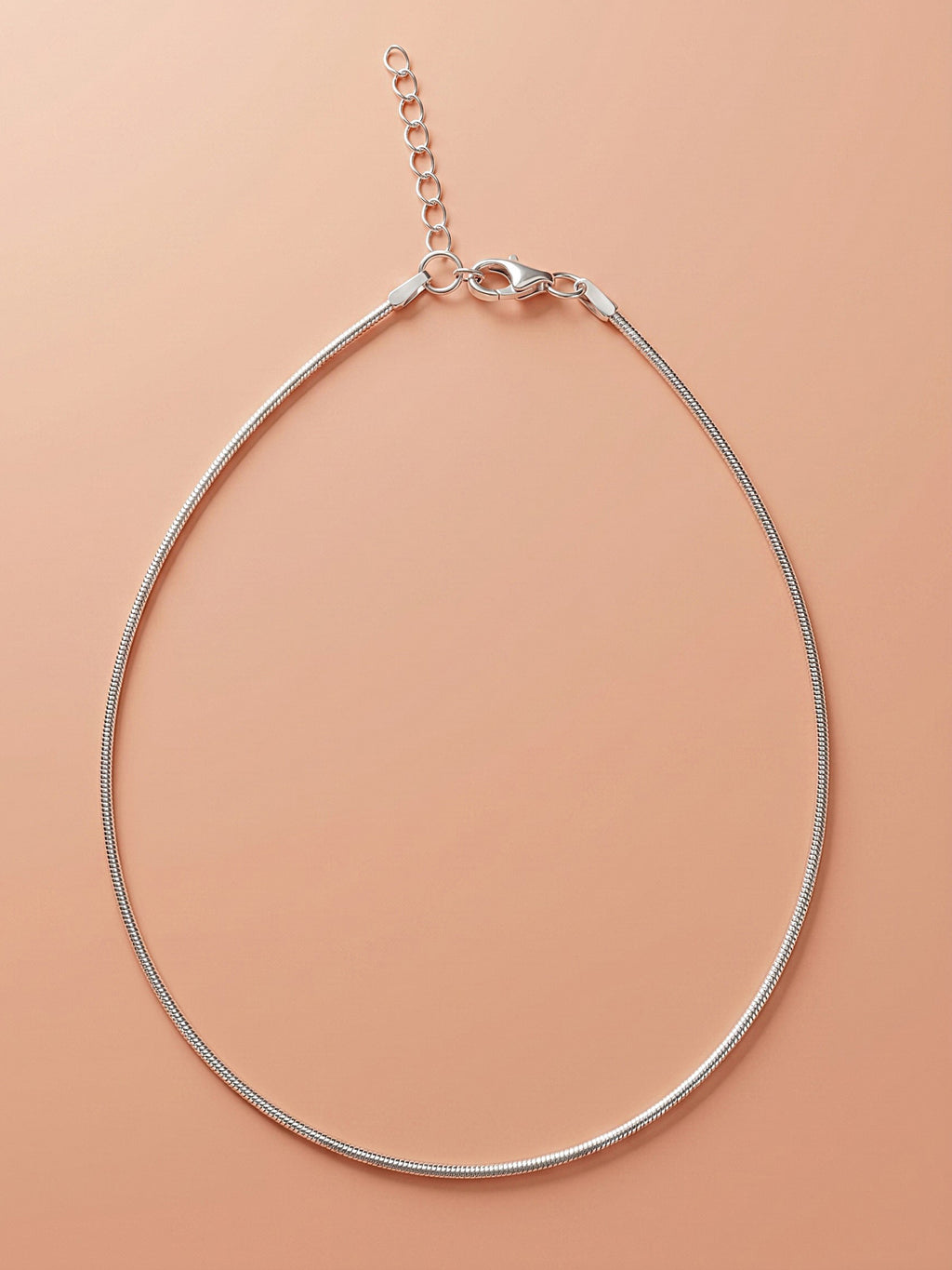 Ultra-Fine Snake Chain Anklet
