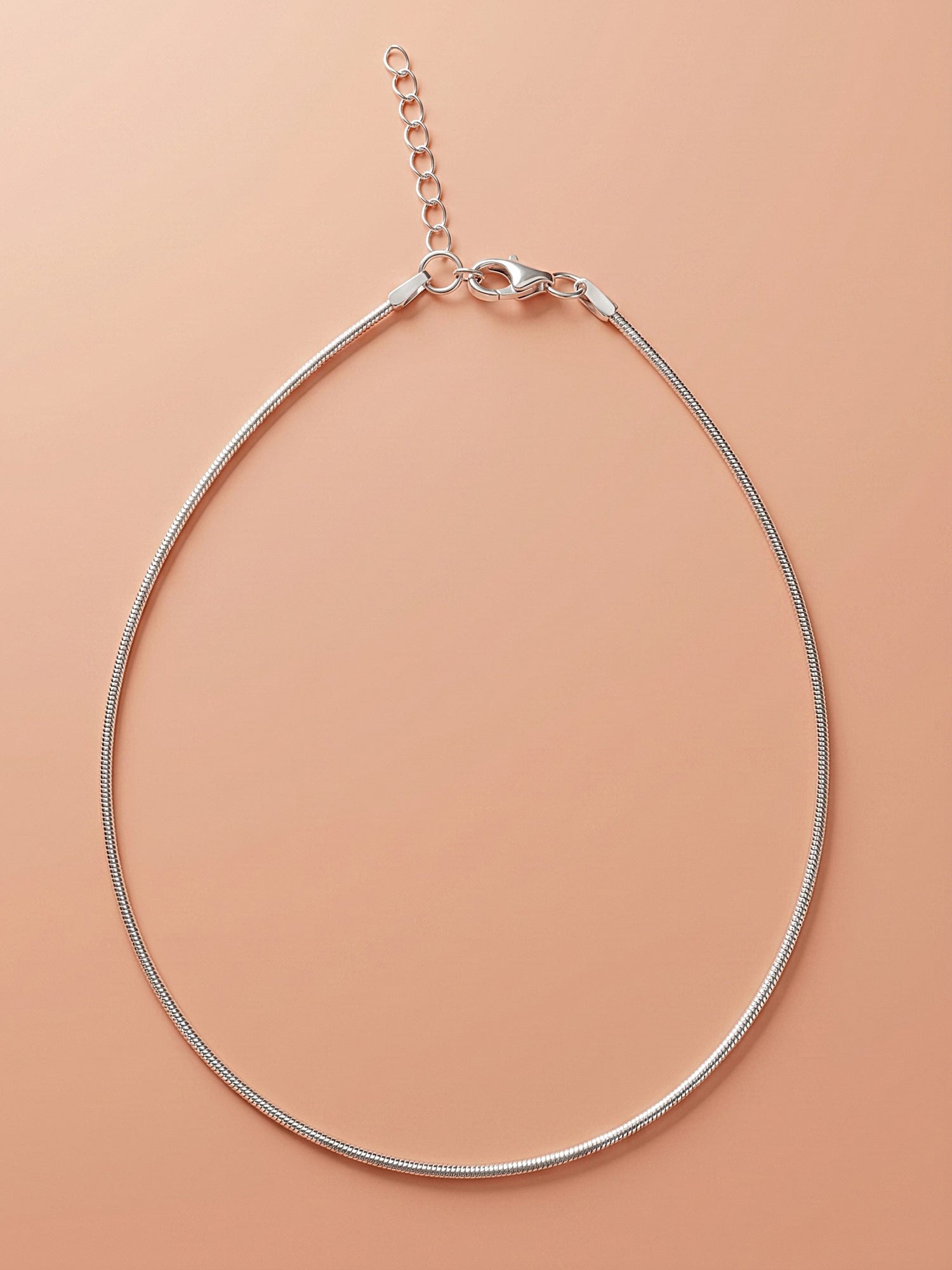Ultra-Fine Snake Chain Anklet