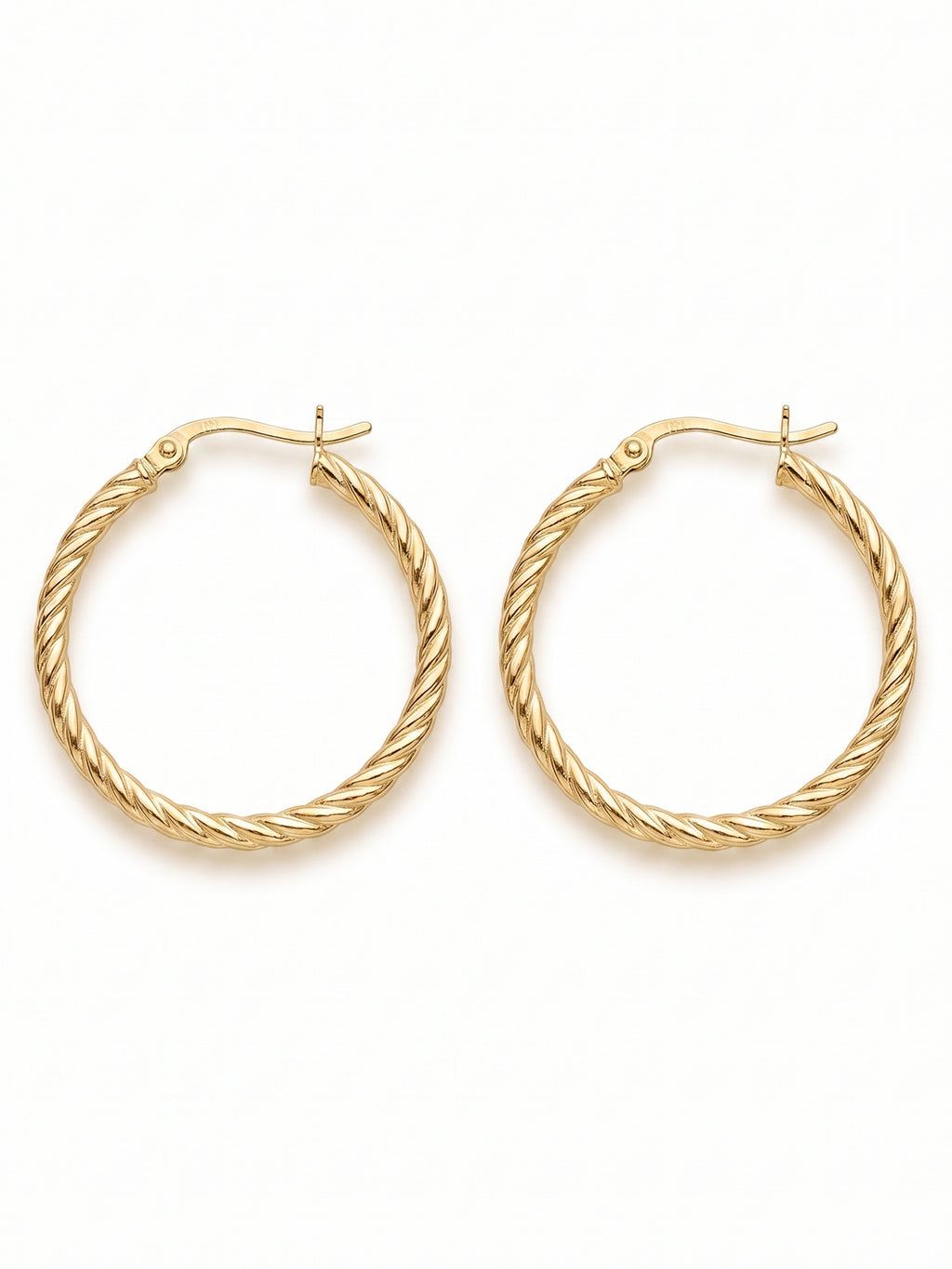 Gilded Rope Twist Hoops