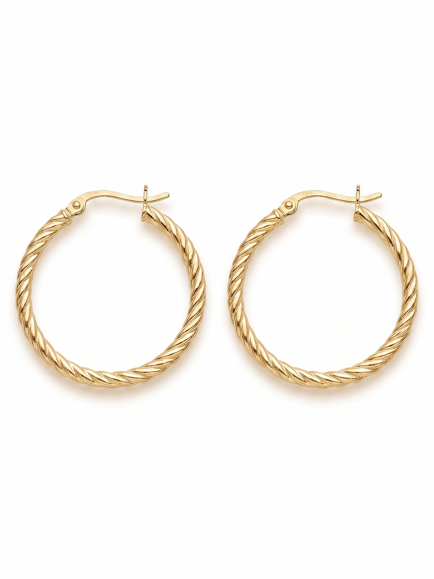 Gilded Rope Twist Hoops